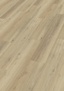 Meister Rigid DD 155 – 20190