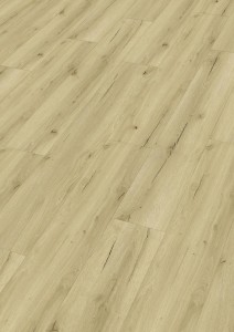 Meister Rigid DD 155 – 20191