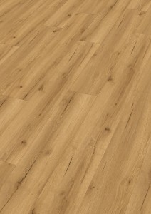 Meister Rigid DD 155 – 20193