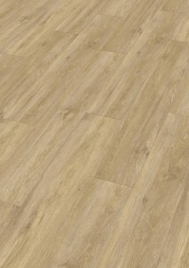 Meister Rigid DD 155 – 20195