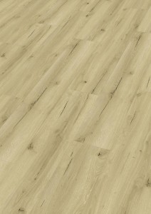 Meister Rigid RD 200 S Garage Pop 20191