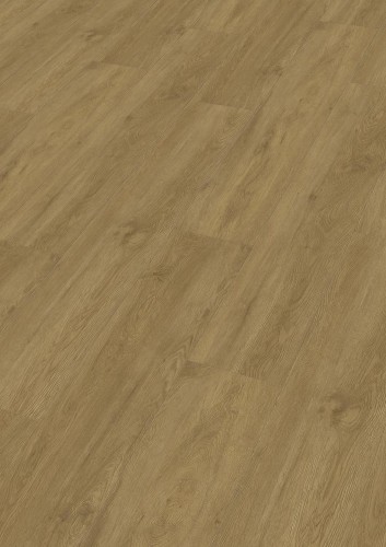 Funky Breaks 20194.jpg