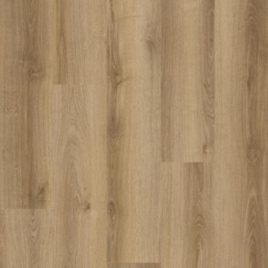 Hobuco peak plank Elbrus 62003158
