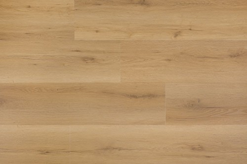 GTDBNACG017.jpg