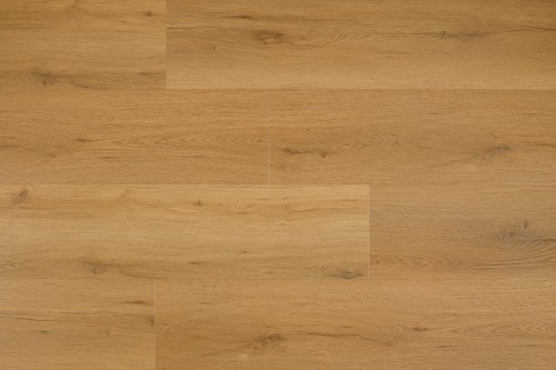 GTDBNACG016.jpg