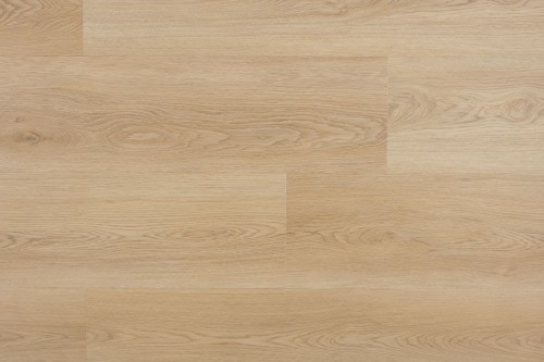 GTNACG010.jpg